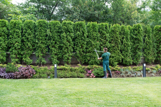 Best Affordable Tree Service  in Grant, MI